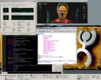 MPlayer pod Windows XP